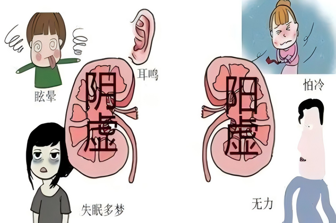 如何自测肾阴虚还是肾阳虚