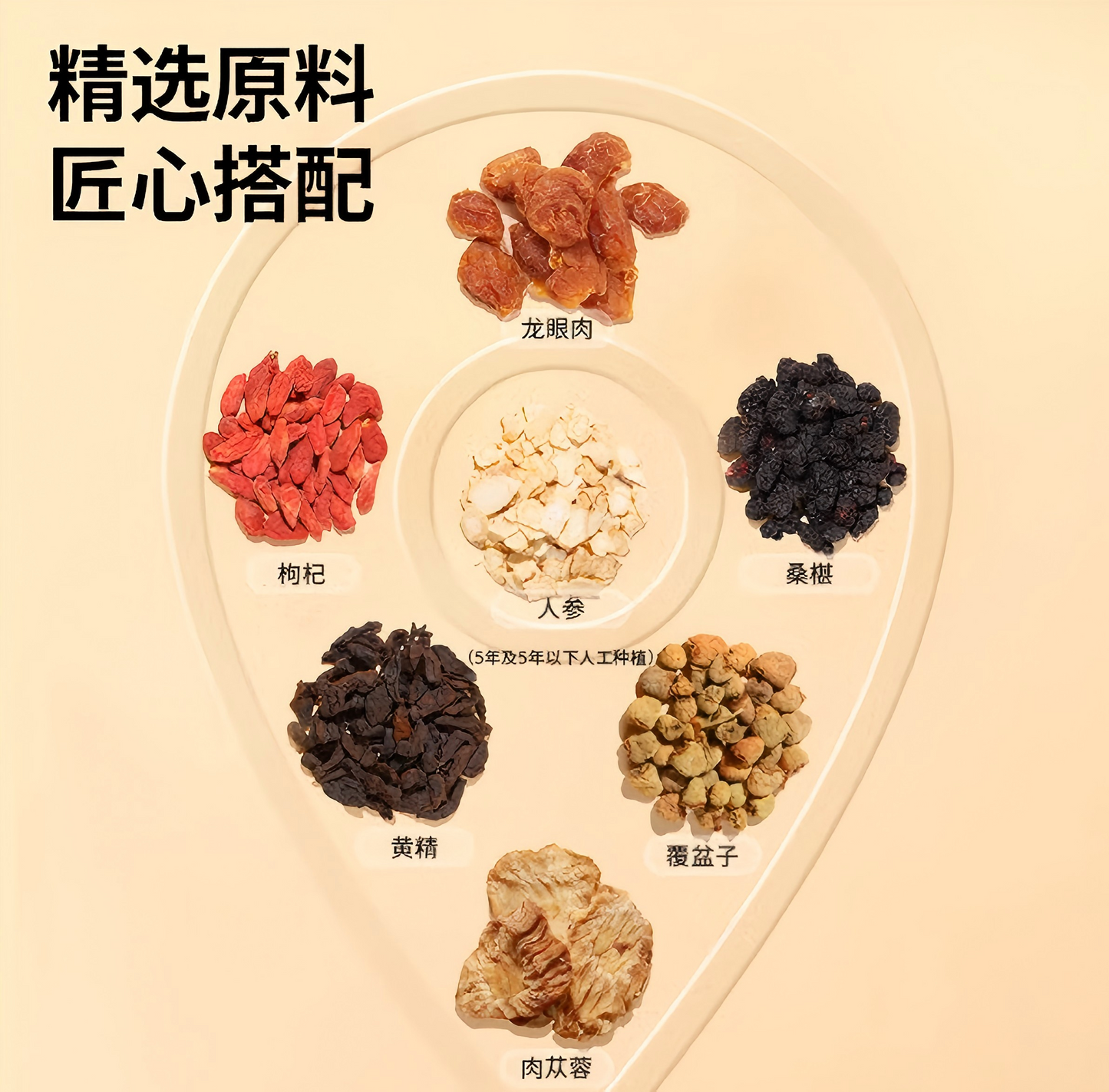 北京同仁堂 人参肉苁蓉黄精茶180克(18克*10袋)男性滋补送礼养生茶 壮阳