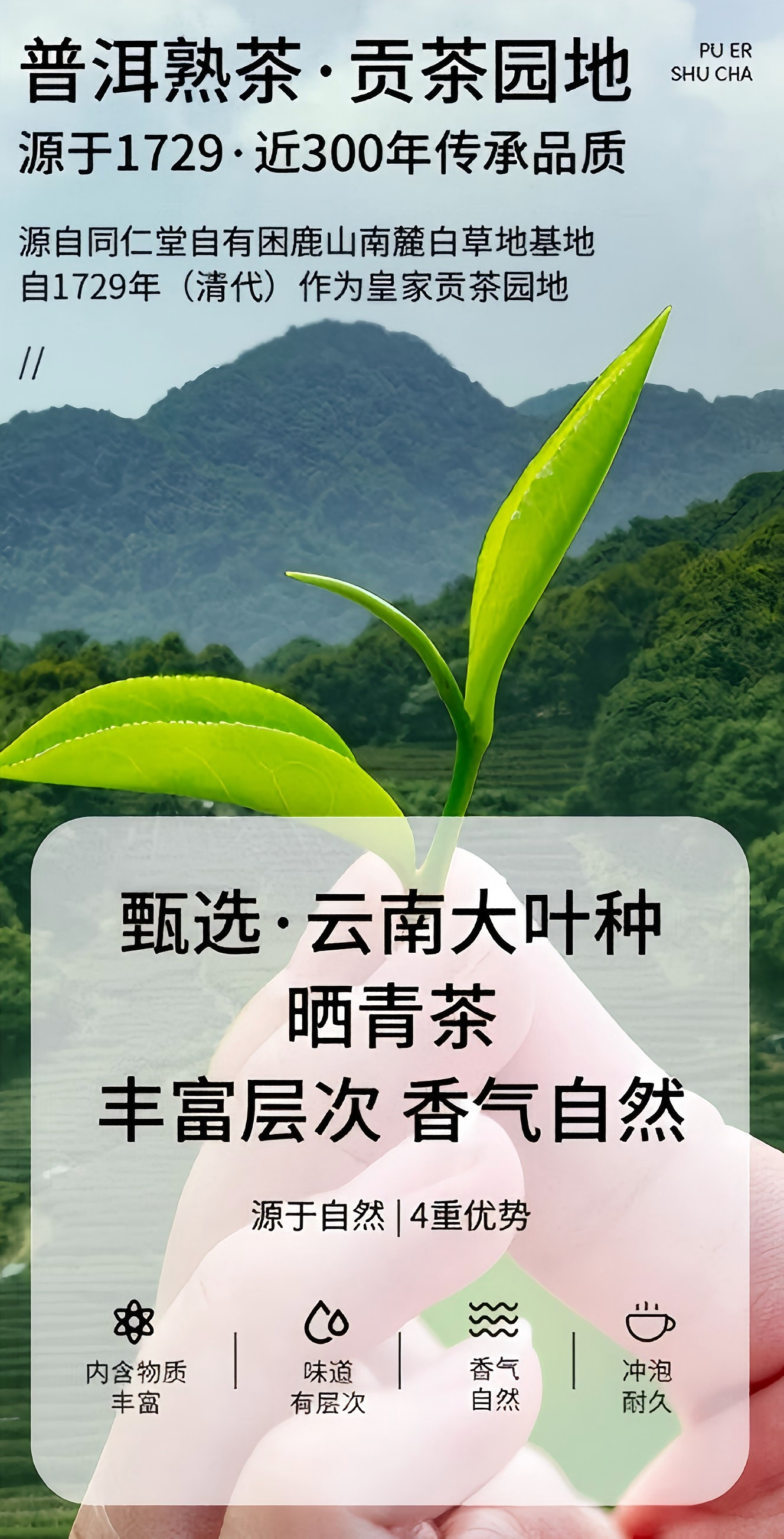 北京同仁堂 陈皮普洱茶21克 广东新会陈皮熟普洱(3克×7包)