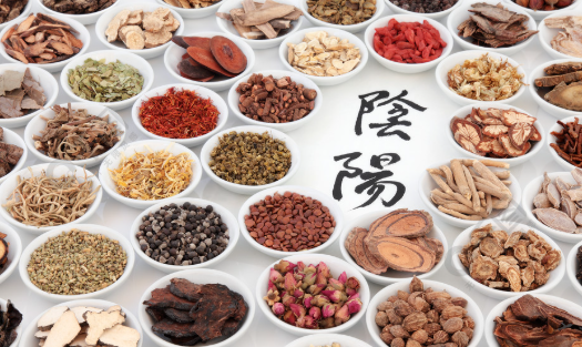 传统滋补类Traditional nourishing food