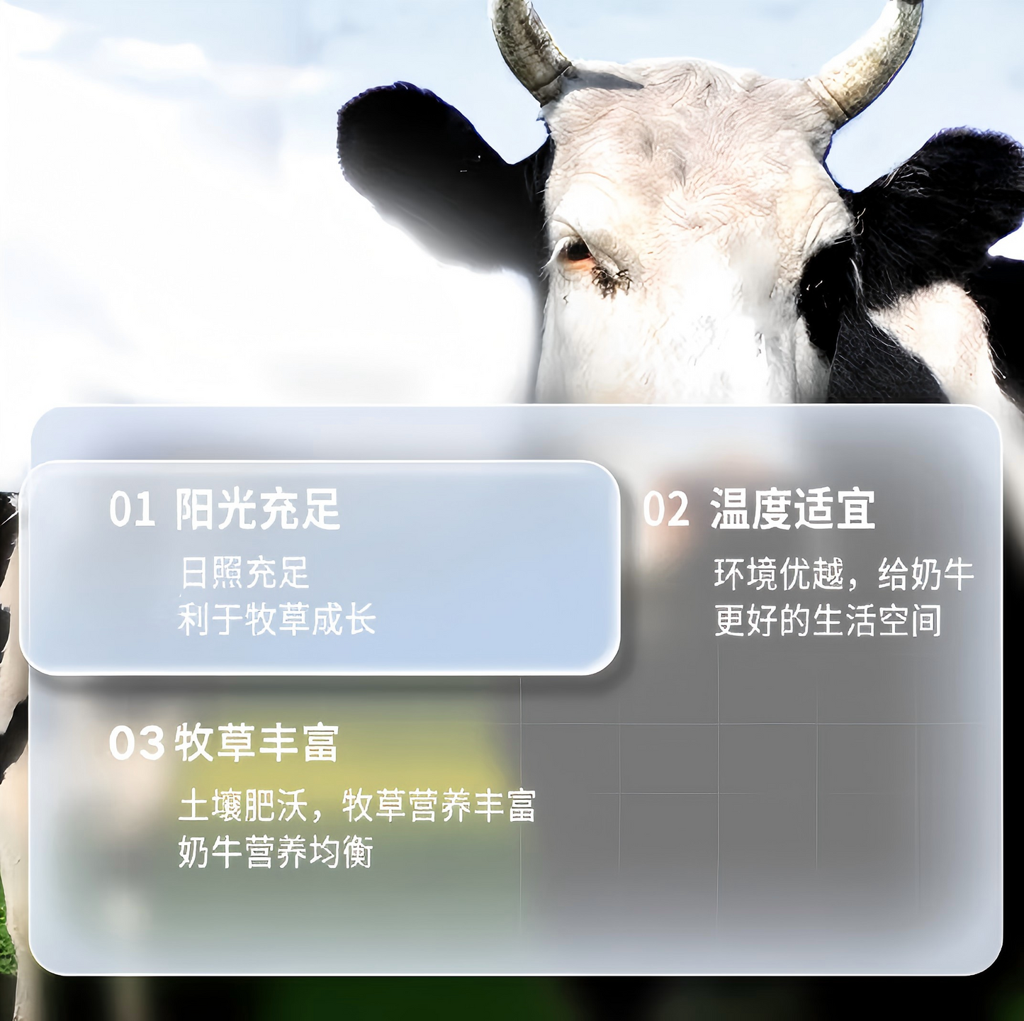 北京同仁堂 膳食纤维蛋白质粉 营养品 礼盒装 600g(10g/袋*60袋)