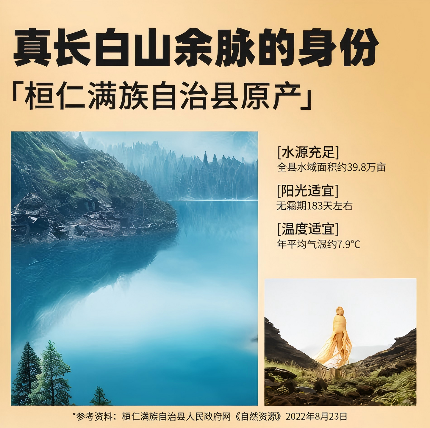 干制红参片100g 皂苷丰富  打粉 煲汤泡茶泡酒