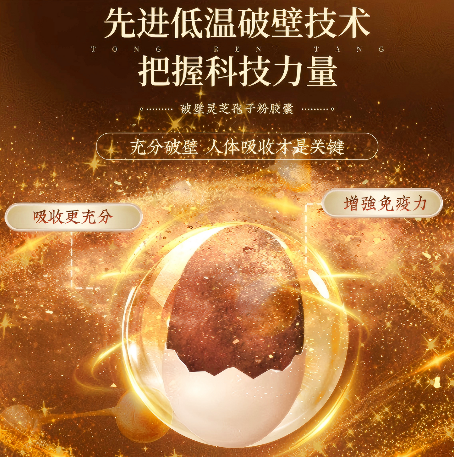 破壁灵芝孢子粉胶囊 Cracked Ganoderma Lucidum Spore Powder Capsules 增强免疫