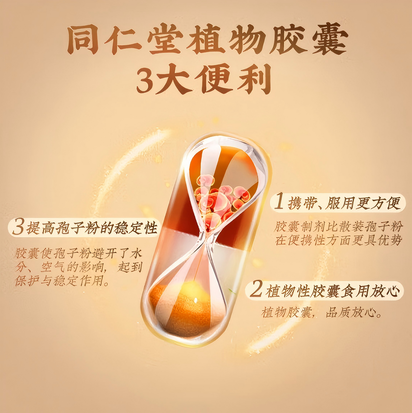破壁灵芝孢子粉胶囊 Cracked Ganoderma Lucidum Spore Powder Capsules 增强免疫
