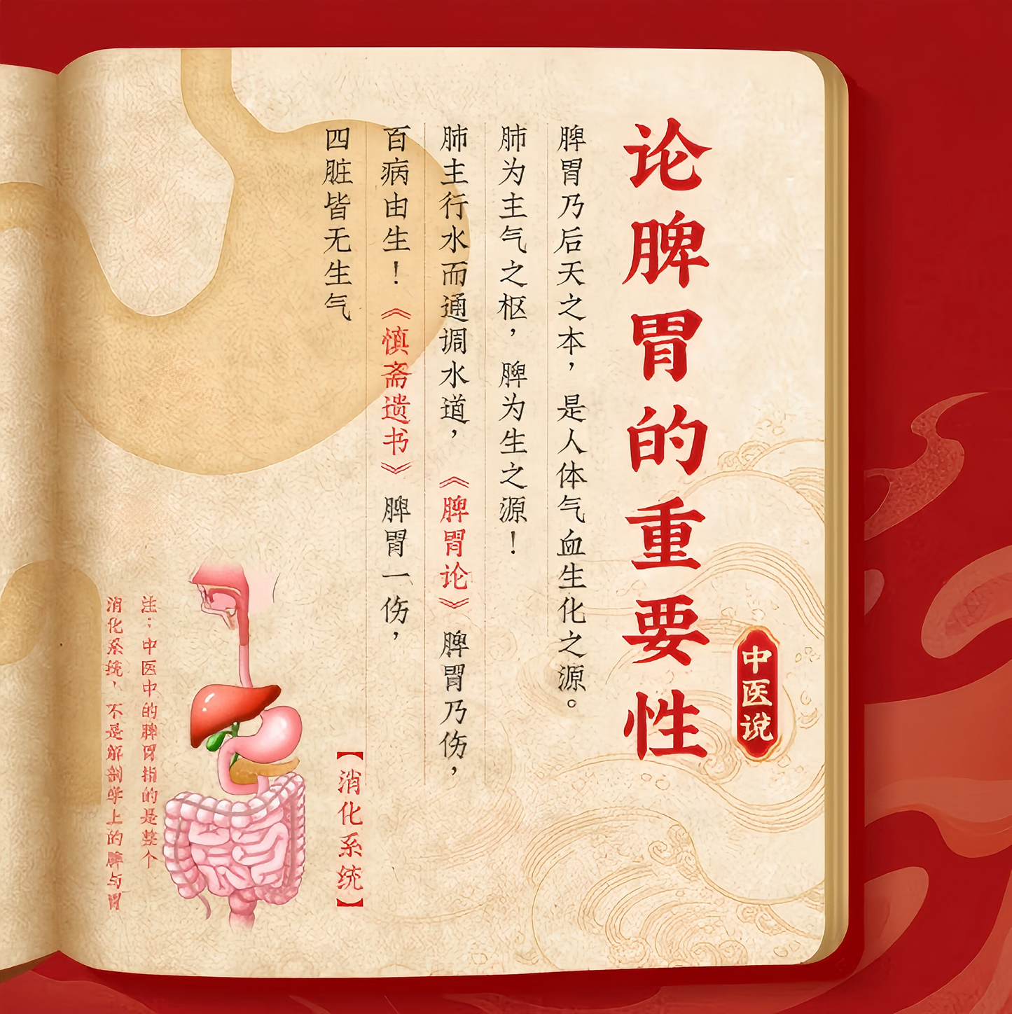 参苓白术丸Shenling Baizhu Pill 健脾益气 利水消肿 便溏拉稀 养胃