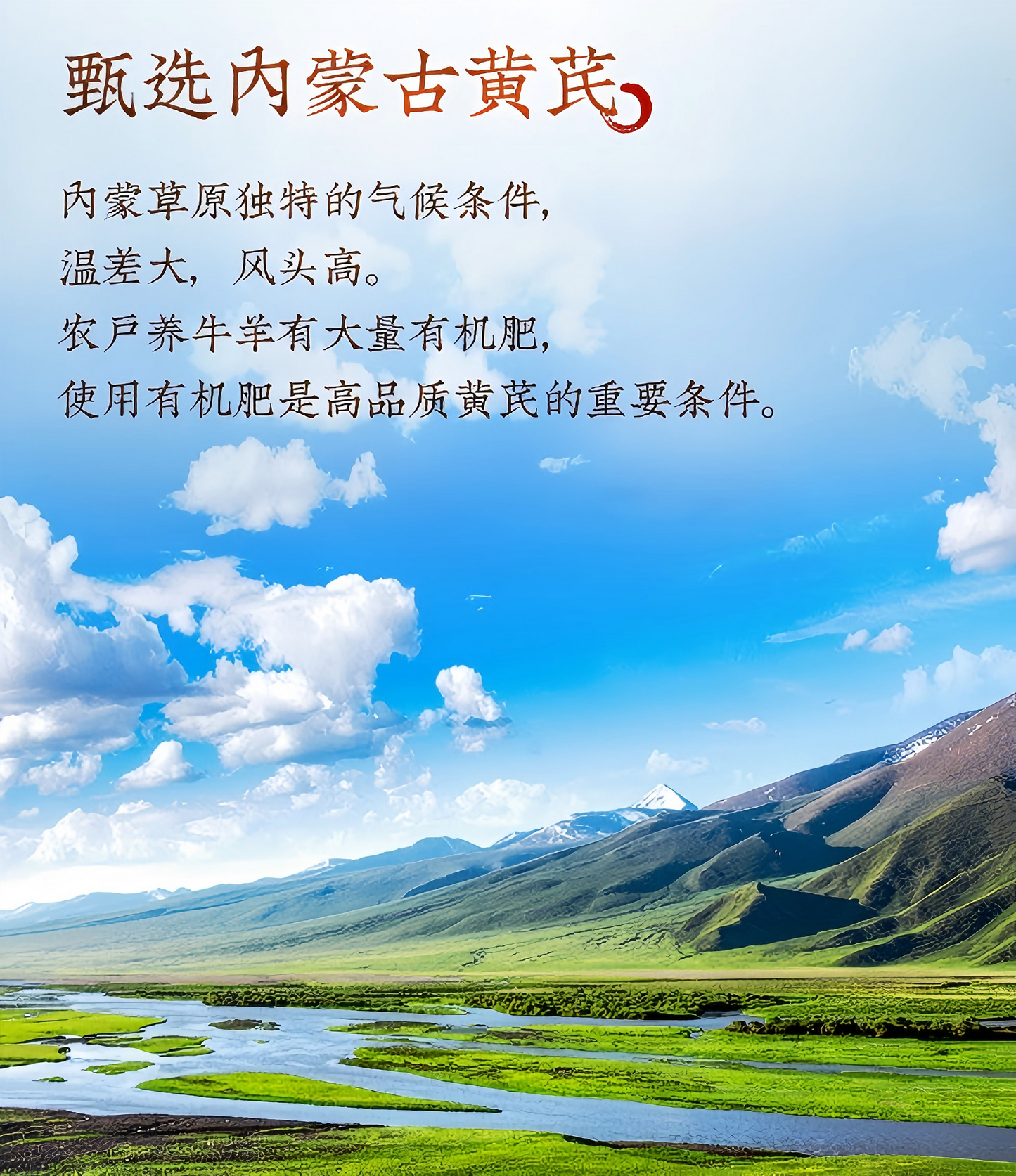 黄芪huangqi 100g