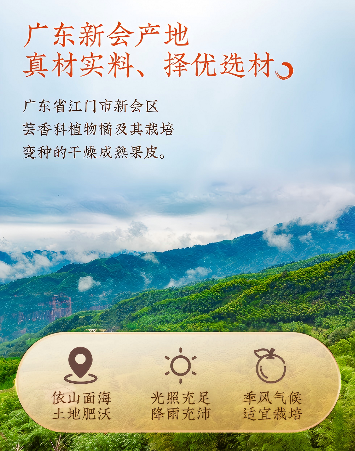 陈皮40g 老陈皮 干丝陈皮茶 抗氧化 护肝 清肺