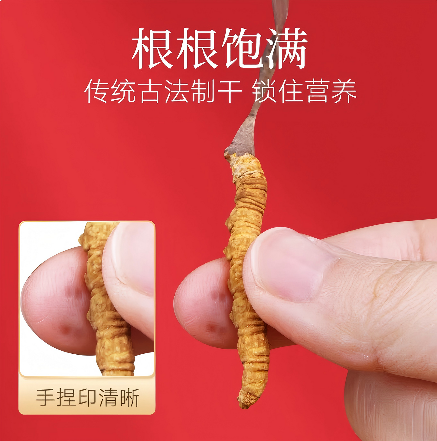 冬虫夏草-50/6克 高海拔地区精选虫草高端礼盒  强身延年