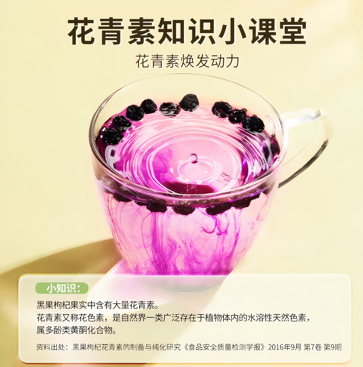 北京同仁堂 黑枸杞90g 黑果枸杞去柄 特优级青海柴达木黑枸杞 抗氧化 增强免疫力