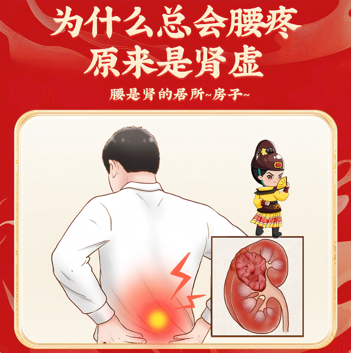 壮腰健肾丸灵兰秘授Strengthening the Waist and Kidney Pills 腰疼 腰椎间盘膨出 风湿